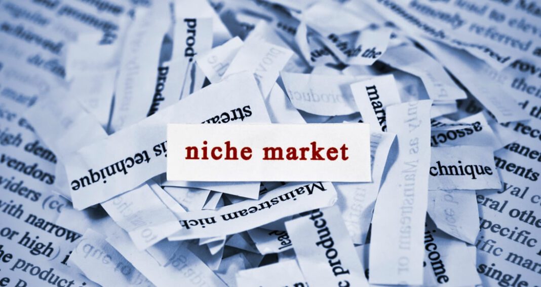 As vantagens do e-commerce de nicho e os caminhos para o sucesso nesse segmento